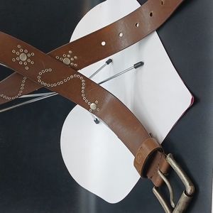 LEI    (Life, Energy  Intelligence)   Brown Belt  Large